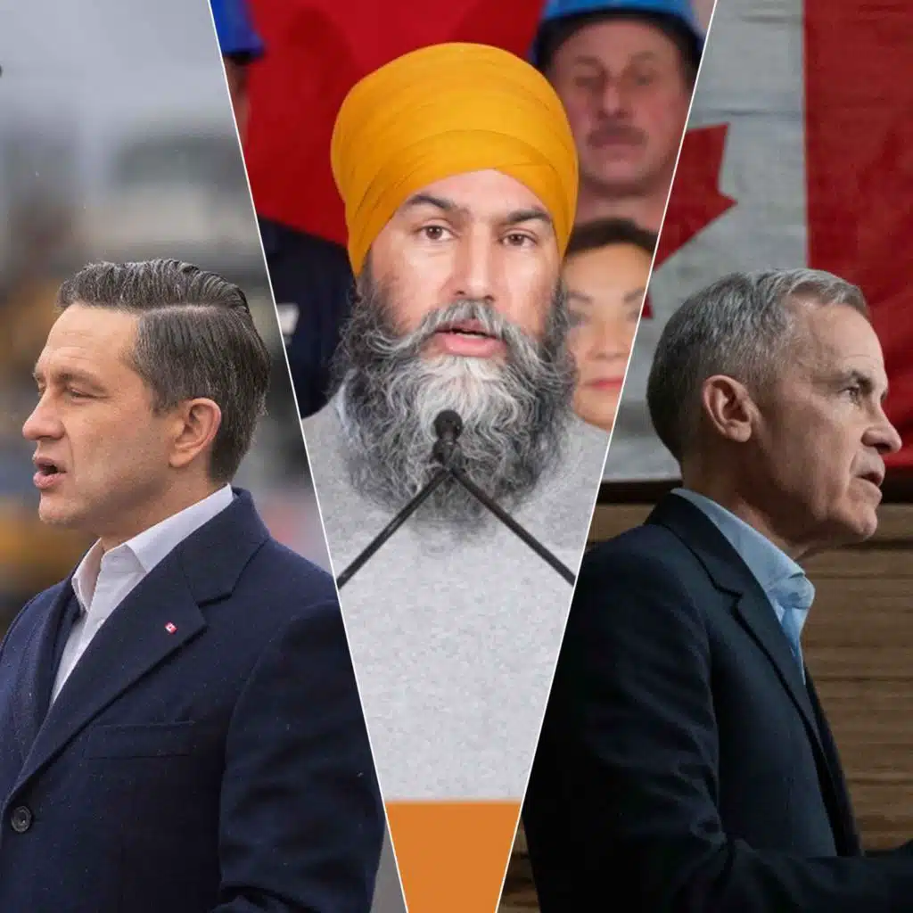 Political Animals in the Wild (a Field Report from Ottawa)