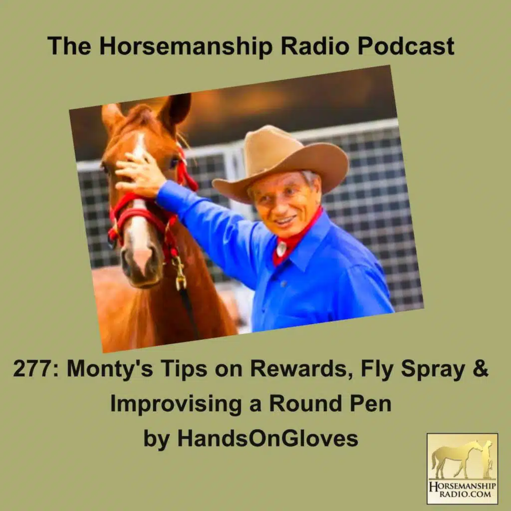 277: Monty's Tips on Rewards, Fly Spray & Improvising a Round Pen by HandsOnGloves