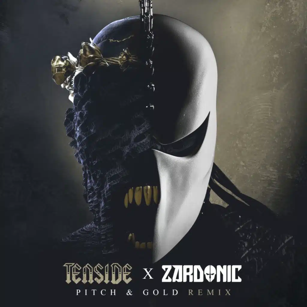 Tenside & Zardonic