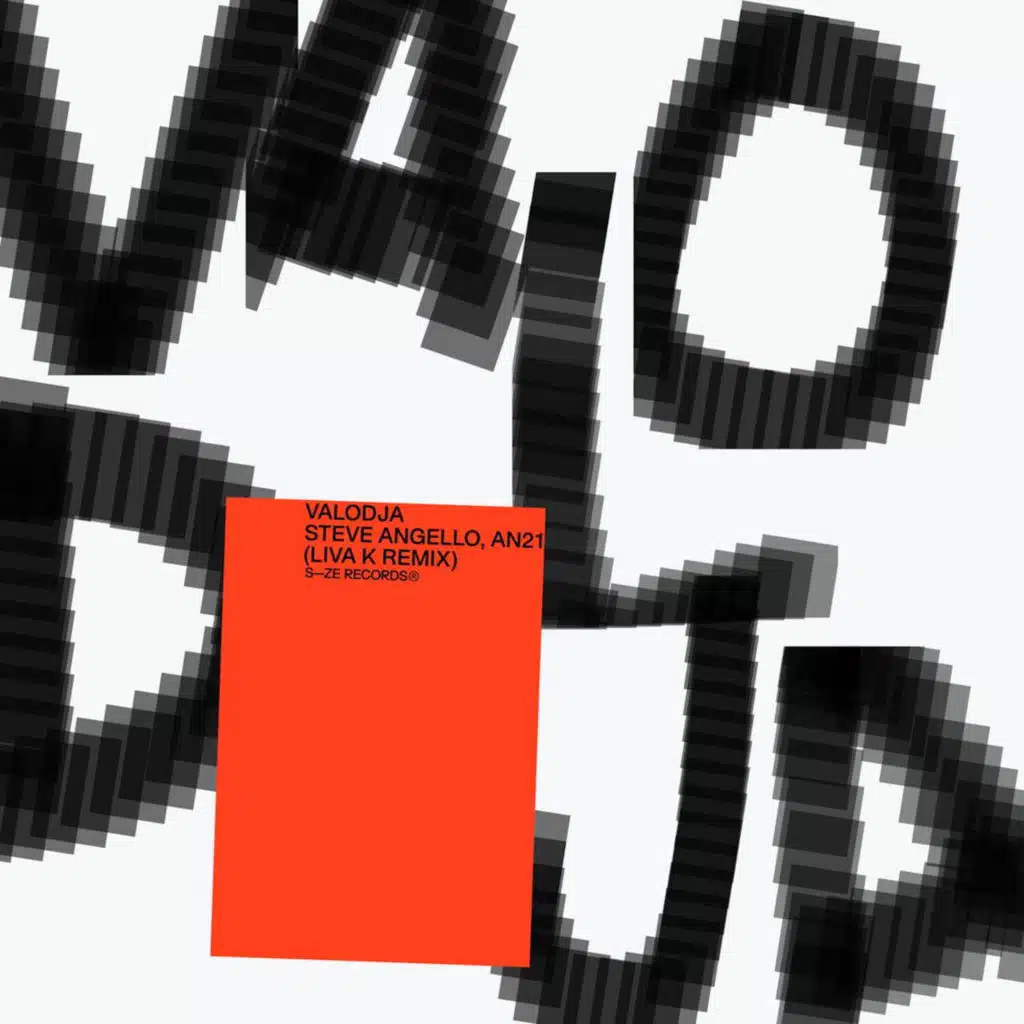 Valodja (Liva K Remix)