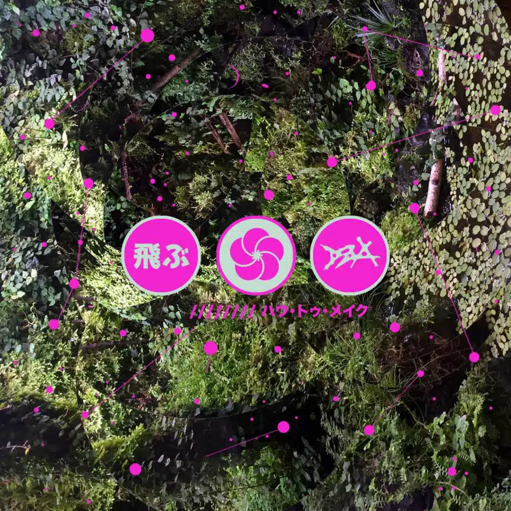 Fly (V.2 by Dza) [feat. Aspen & Falu Phalu]