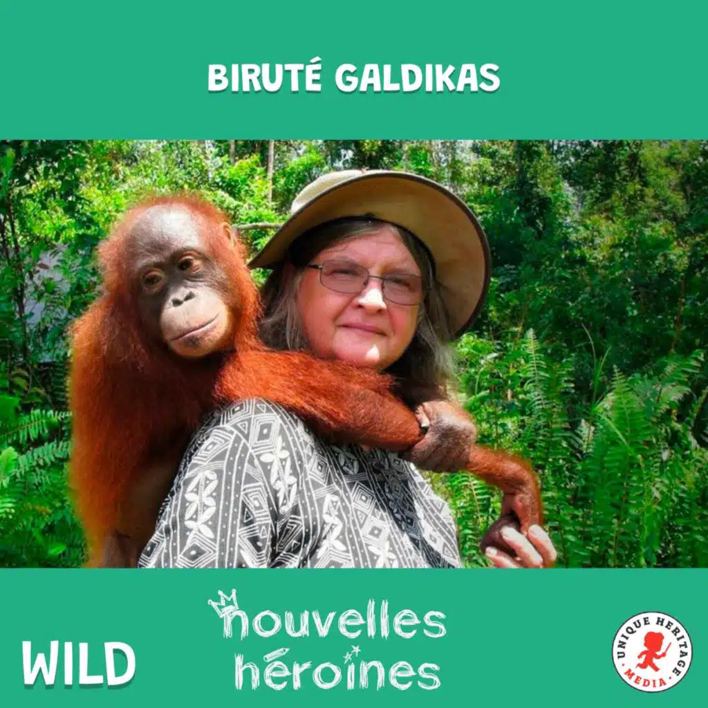 Biruté Galdikas l'héroïne des Orangs Outans - Wild X Nouvelles Héroïnes