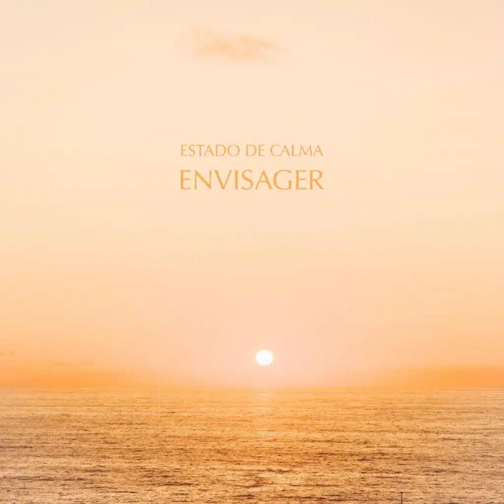 Estado De Calma