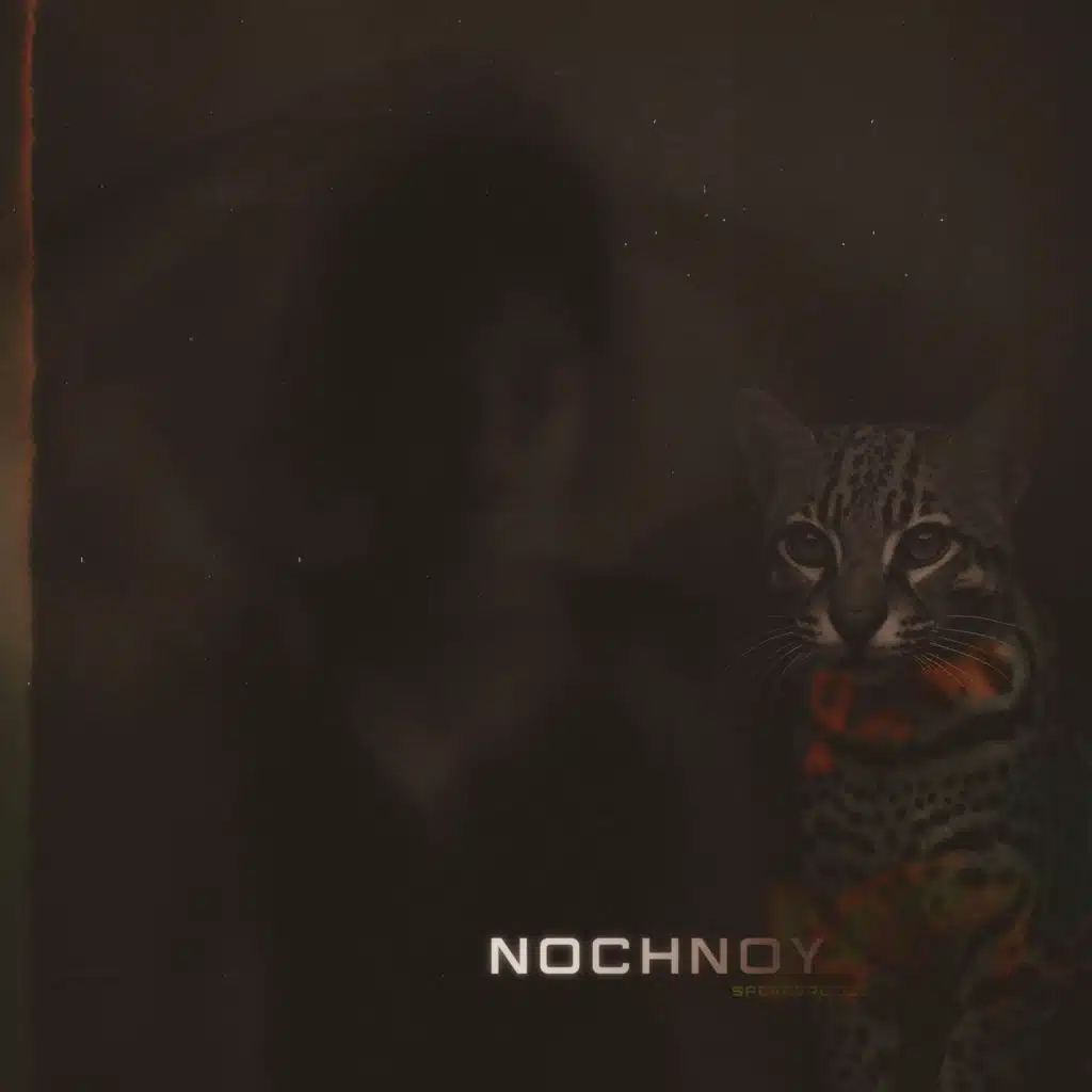 Nochnoy