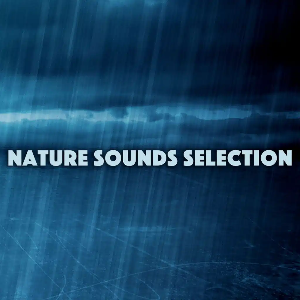 Nature Sounds Selection