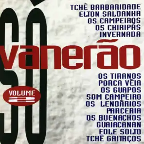 Só Vanerão, Vol. 2