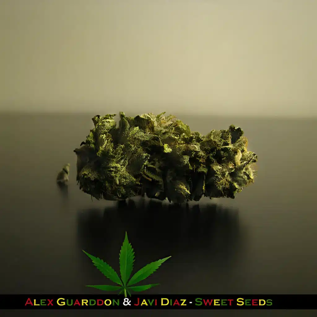 Alex Guarddon & Javi Diaz