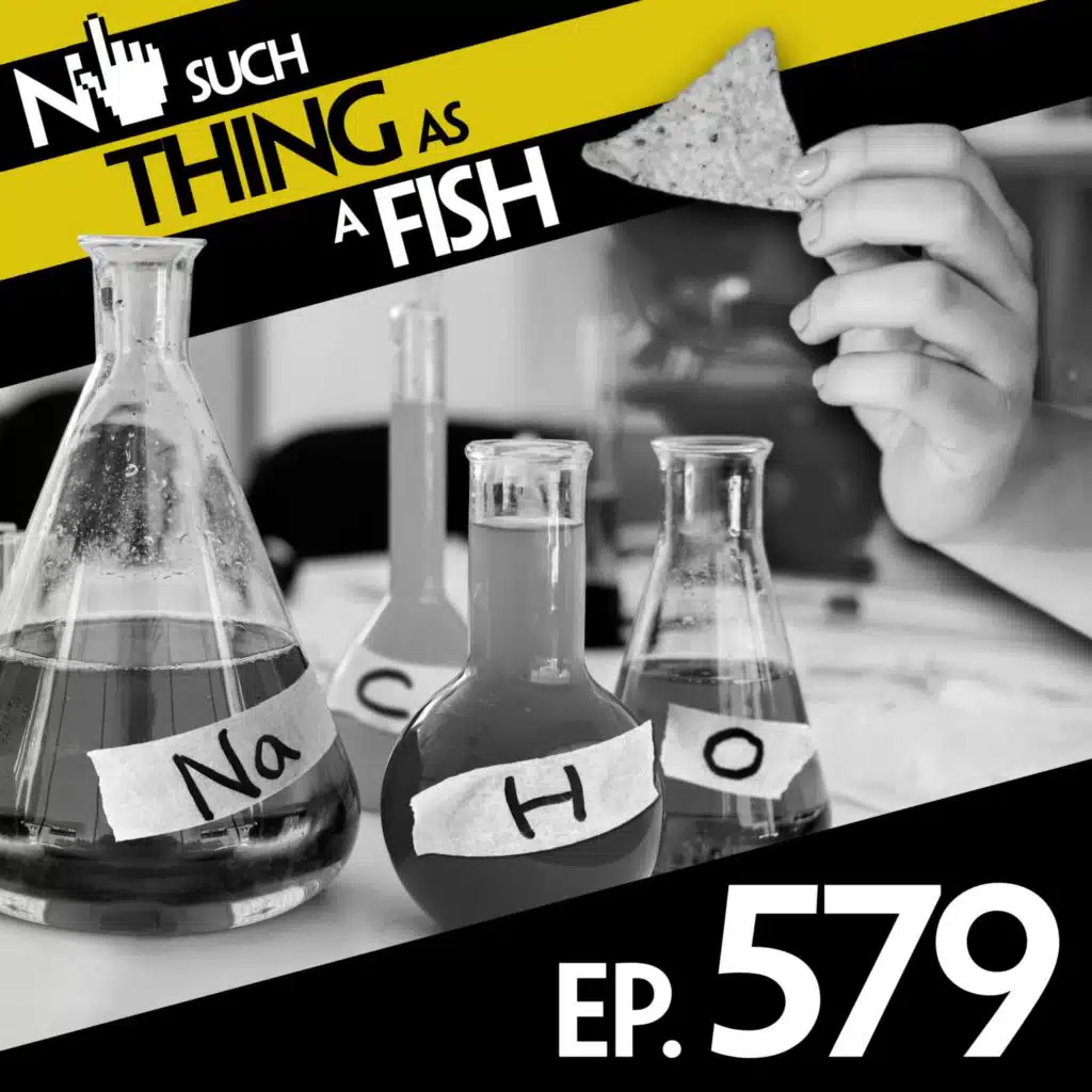 No Such Thing As Indiana Jones And The Rare Burrito