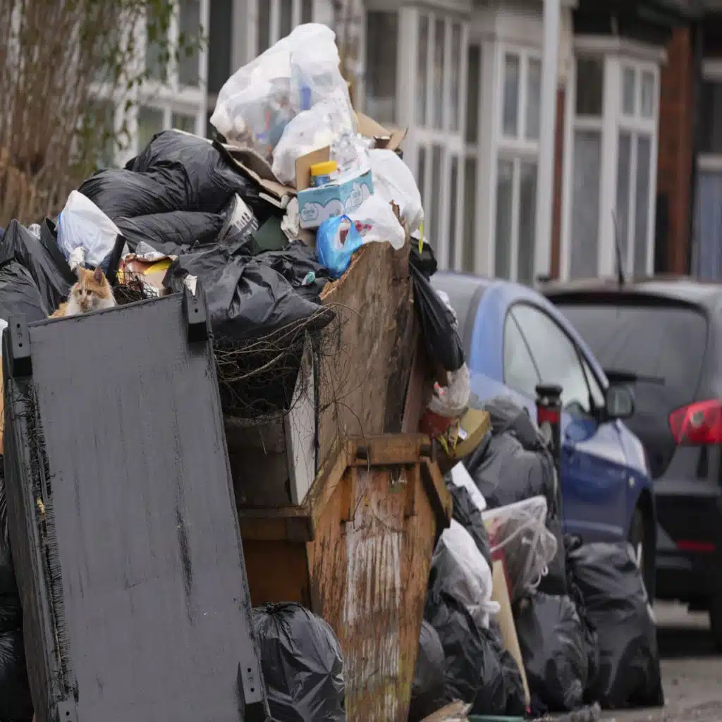 Foreign Correspondent - Riley Stuart