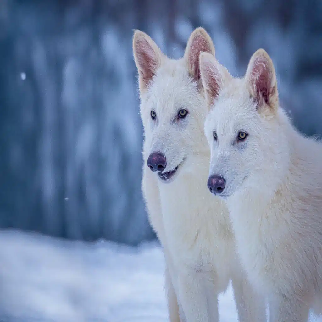 Nightlife Science with Jonathon Webb