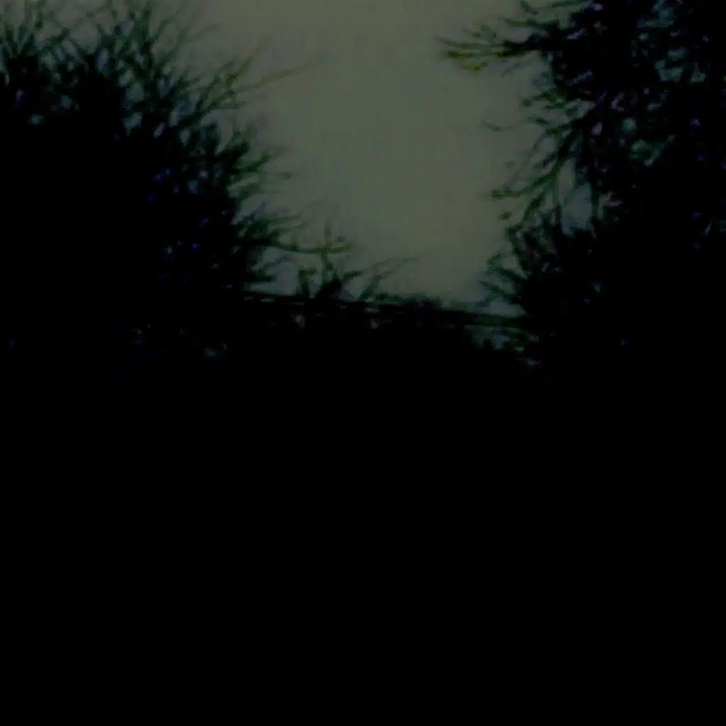 Hush