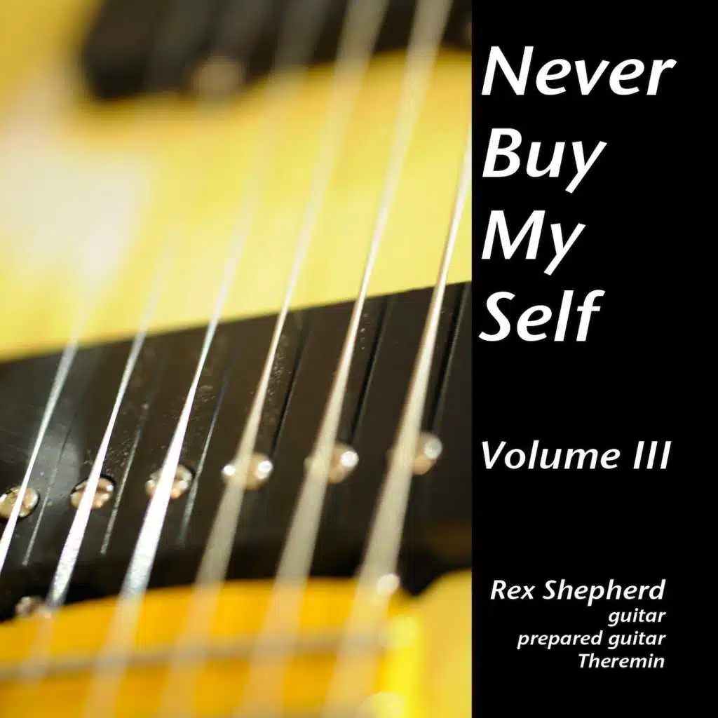Never Buy My Self, Vol. III