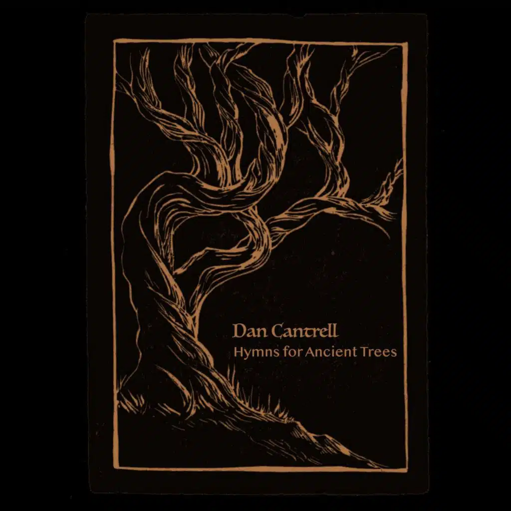Hymn for Ancient Trees