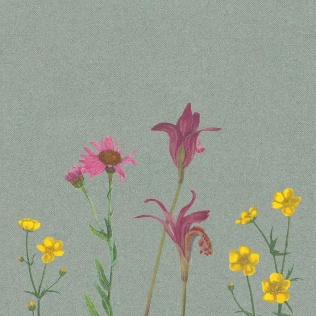 April Showers Bring May Flowers