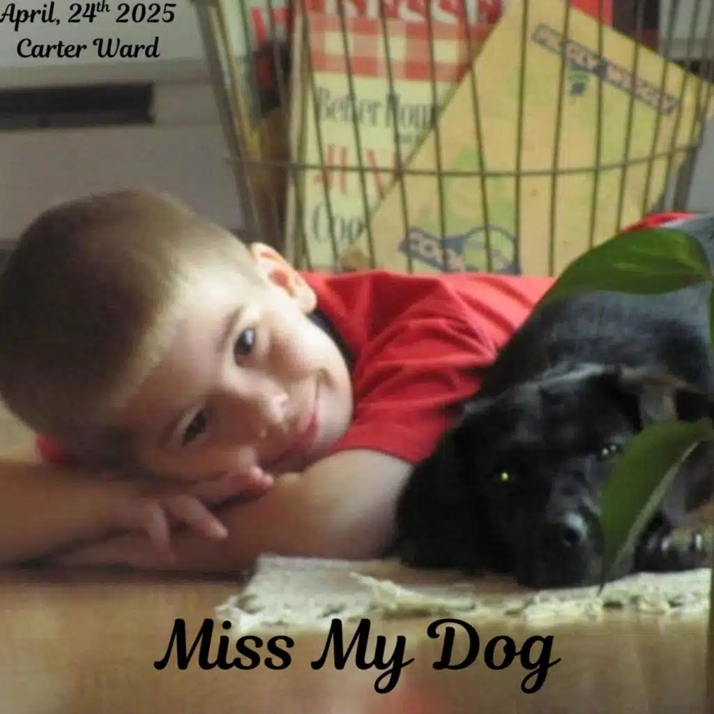 Miss My Dog
