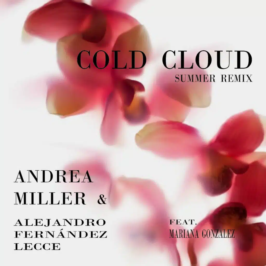 Cold Cloud (Summer Remix) [feat. Mariana Gonzales & Alejandro Fernandez Lecce]