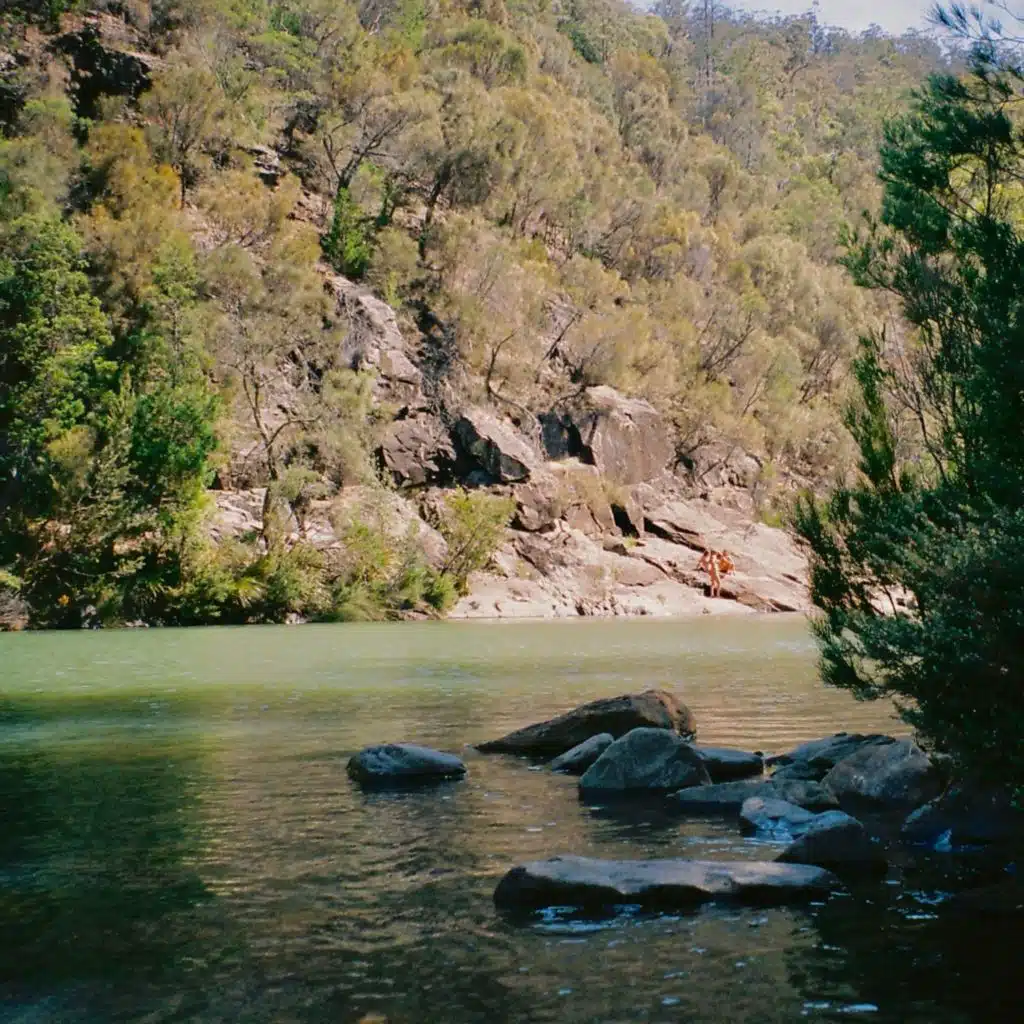 silver, silver screen