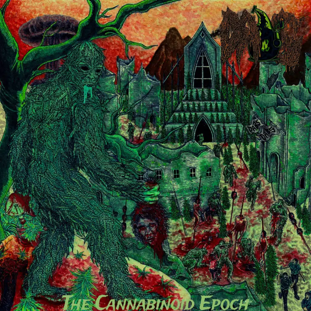 They Have No Reflections