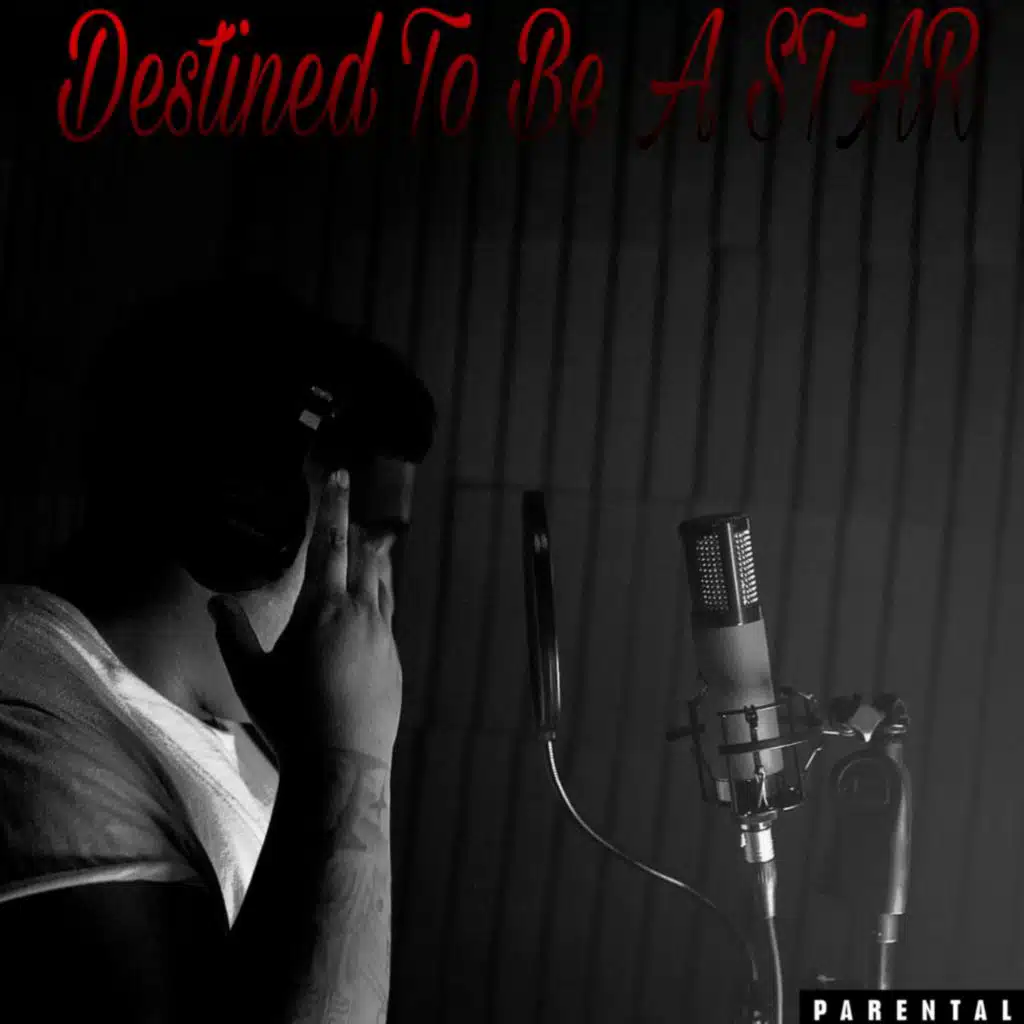 Destined To Be A Star