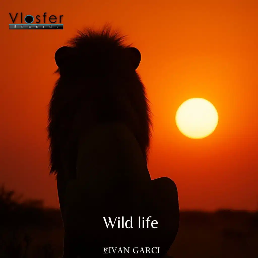 Wild Life