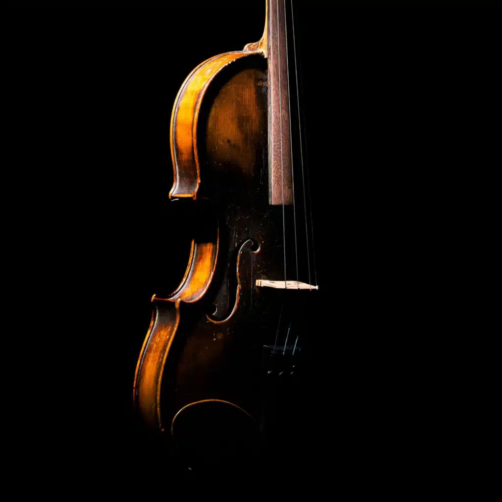 Soothing Symphony for Calm