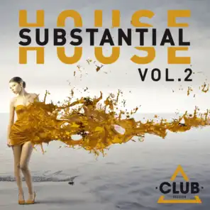 Substantial House, Vol. 2