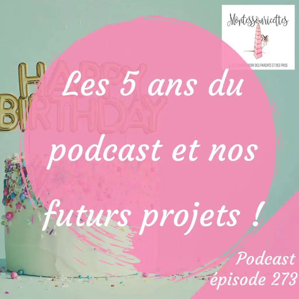 273. Podcast anniversaire : Les 5 ans du podcast et nos futurs projets !