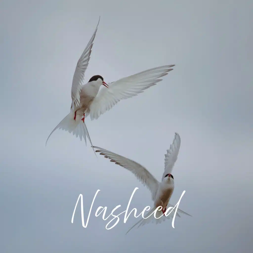 Sawt safiri el bolboli