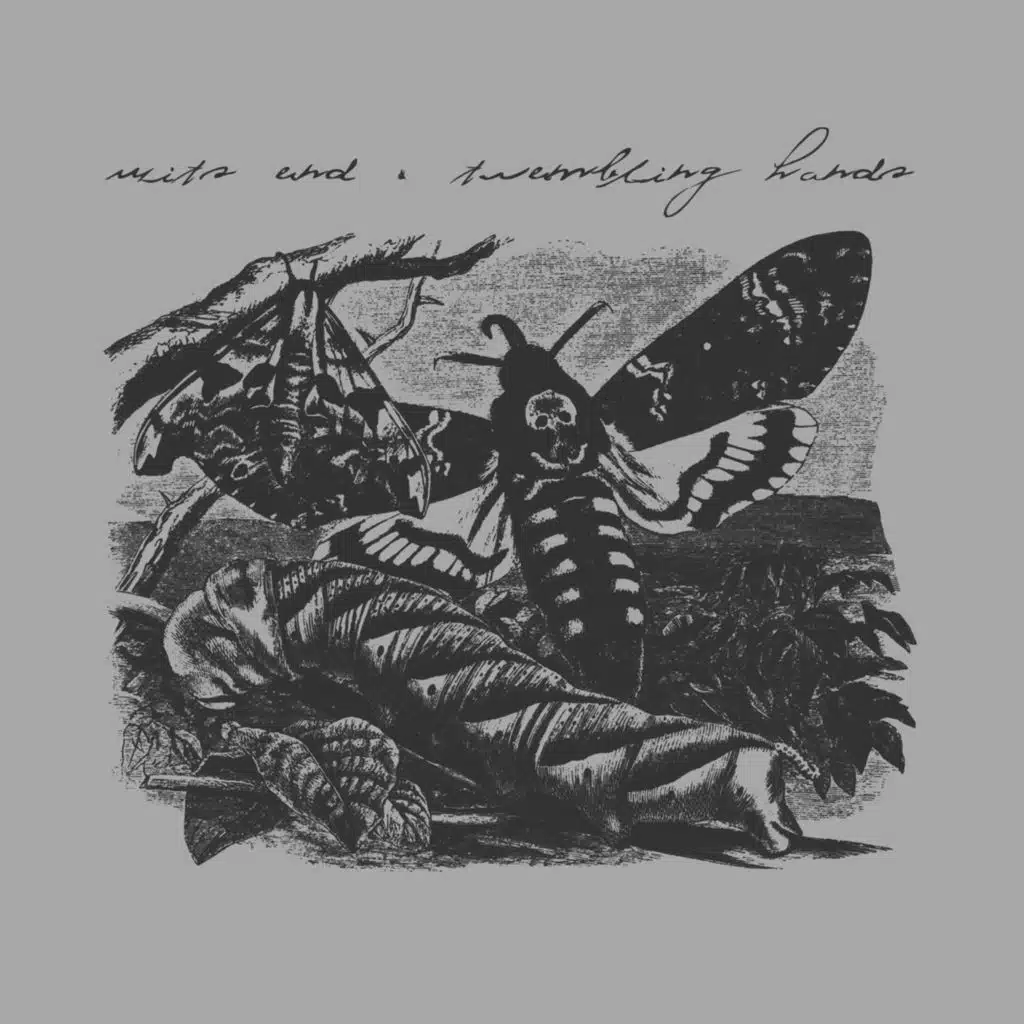 Wits End & Trembling Hands Split