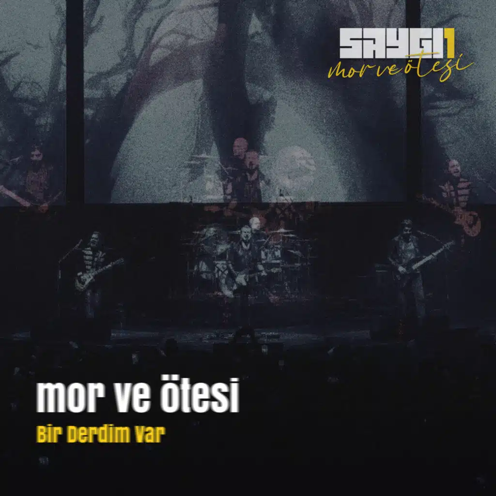 Bir Derdim Var (Saygi1, Canlı Senfonik)