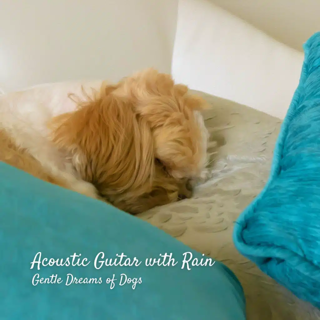 Acoustic Guitar with Rain: Gentle Dreams of Dogs
