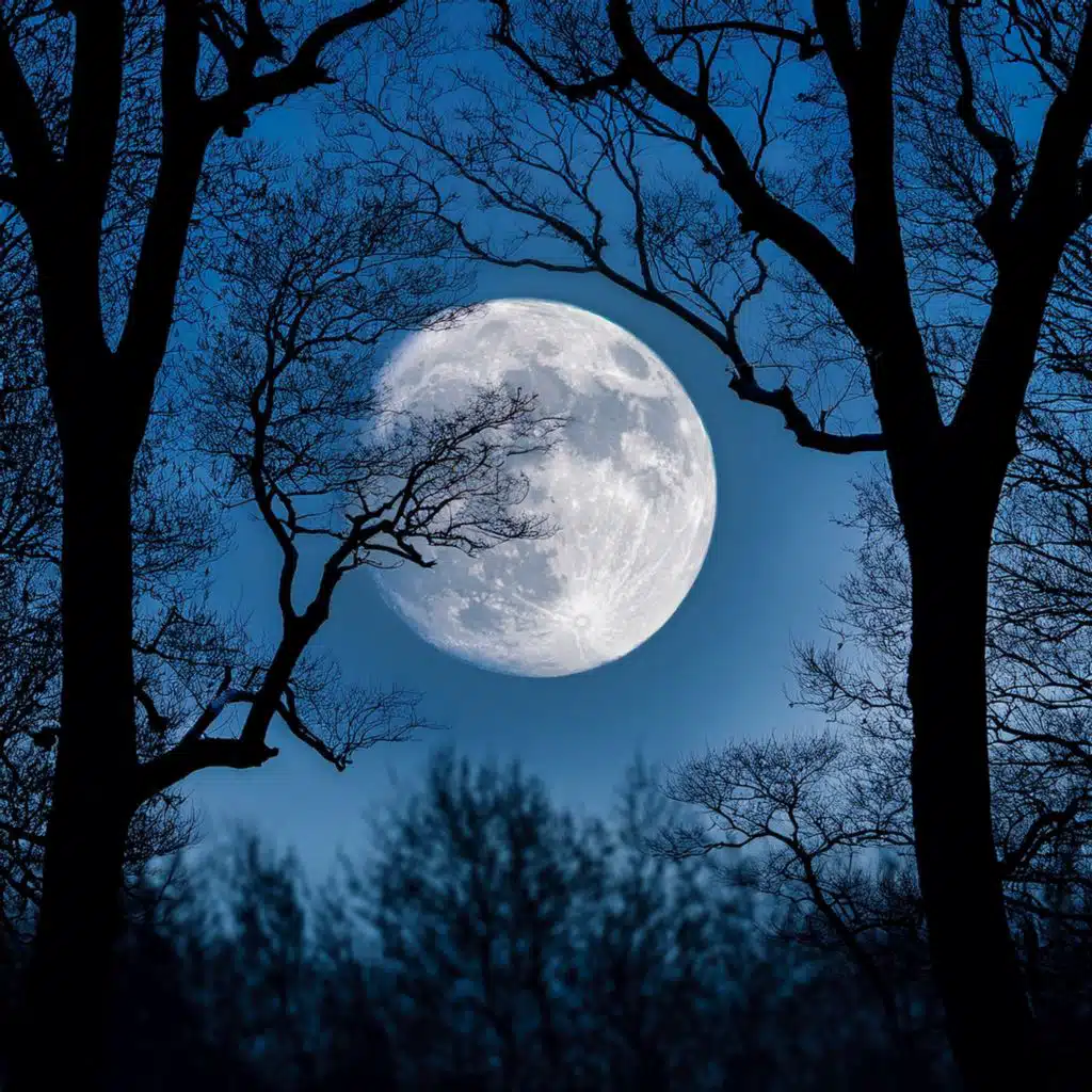 The Quiet Flow Of Midnight