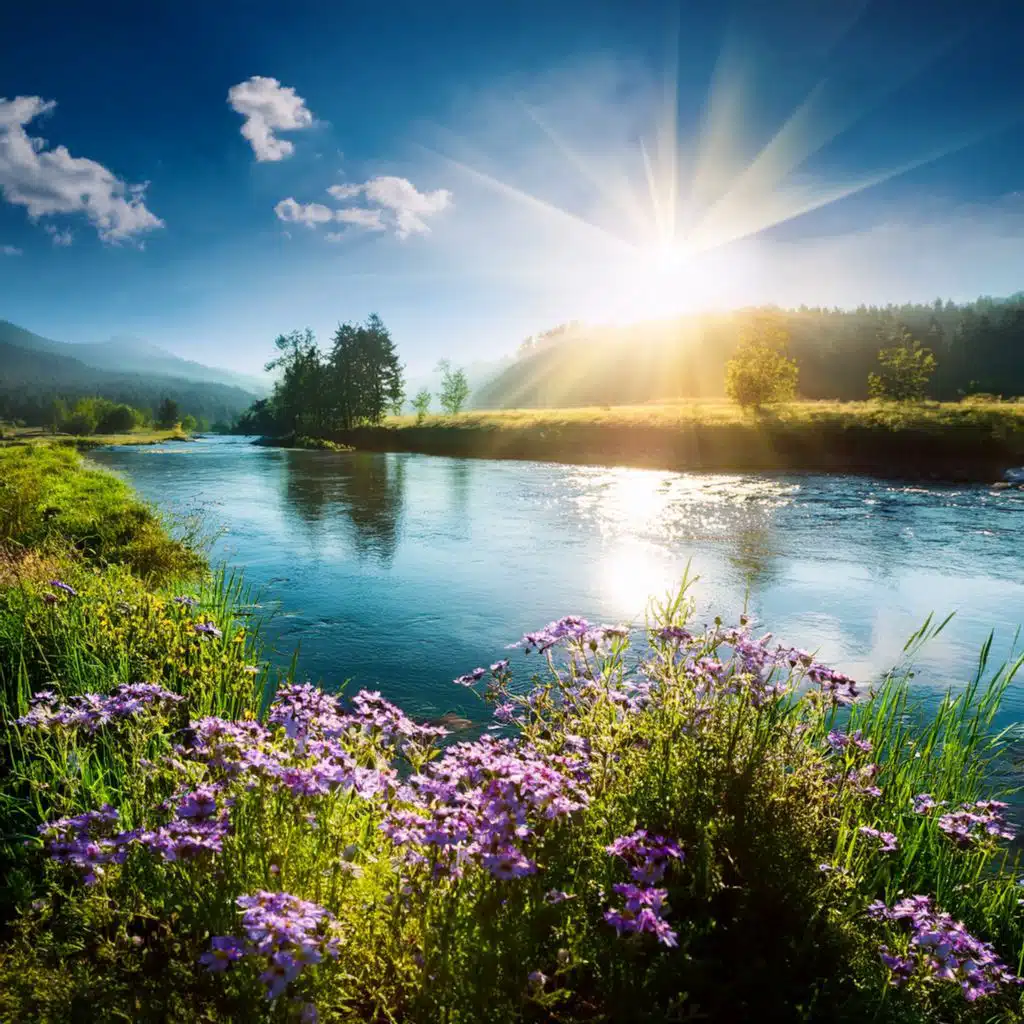 In The Calm, We Find Clarity