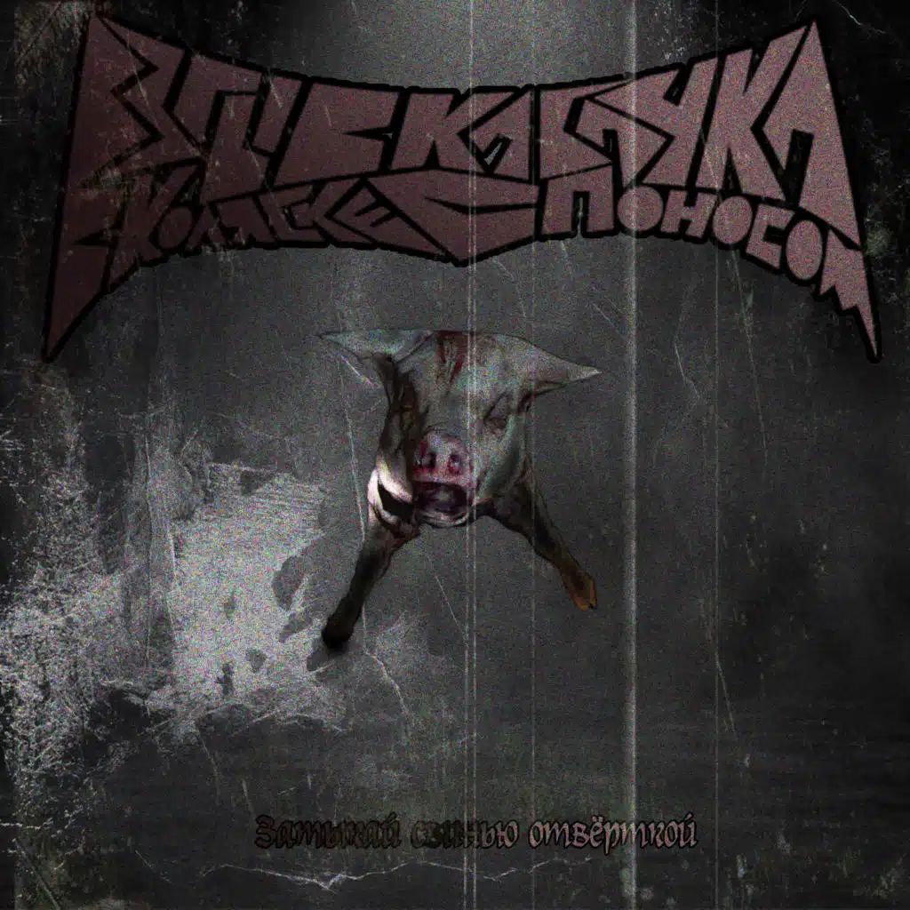 Взрыв кабачка в коляске с поносом