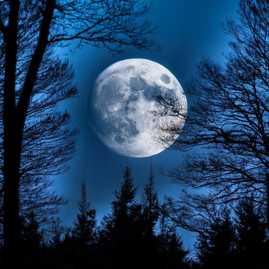 Lofi Dreams Beneath The Moon