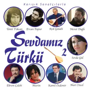 Sevdamız Türkü, Vol.2 (Karışık Sanatçılarla)