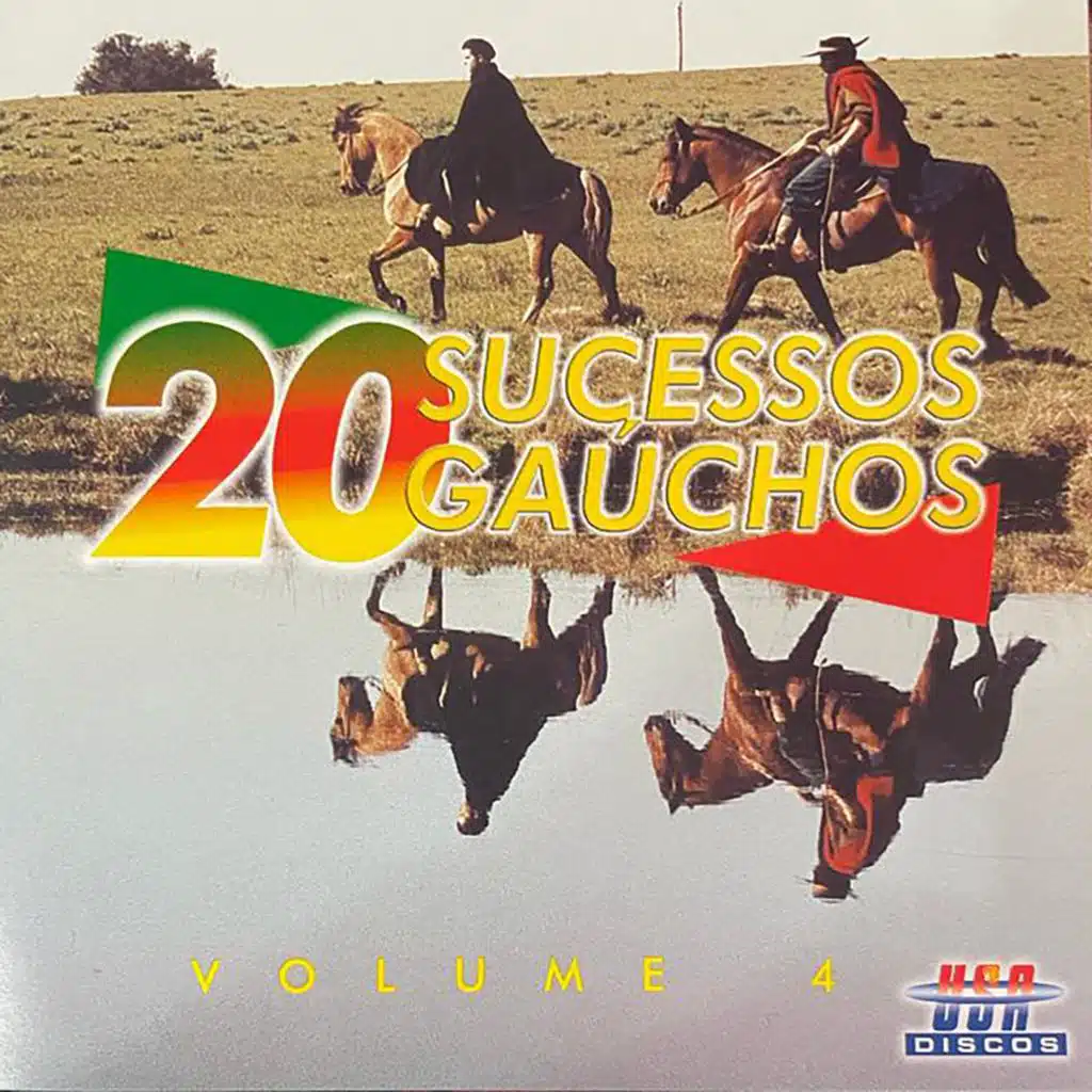 20 SUCESSOS GAÚCHOS, VOL. 4