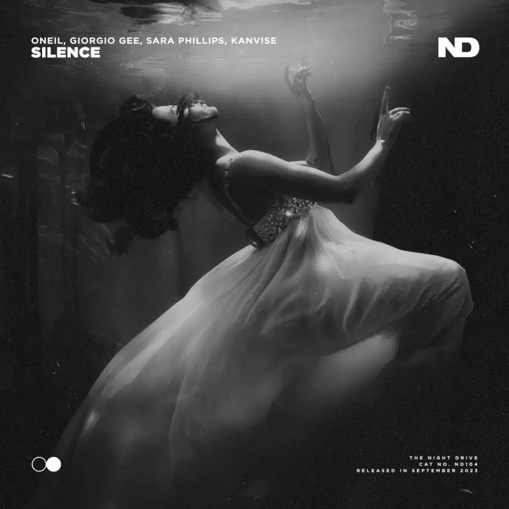 Silence (feat. KANVISE)
