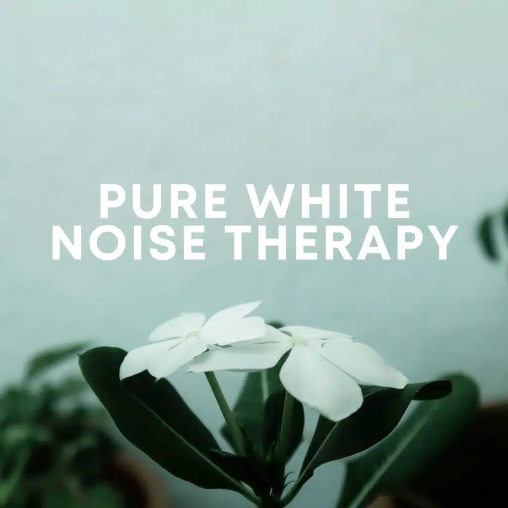 Pure White Noise Therapy