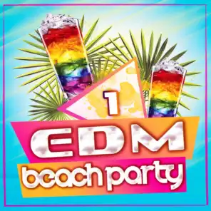 EDM Beach Party, Vol. 1