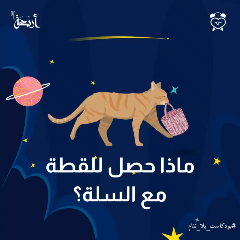 ماذا حصل للقطة مع السلة؟