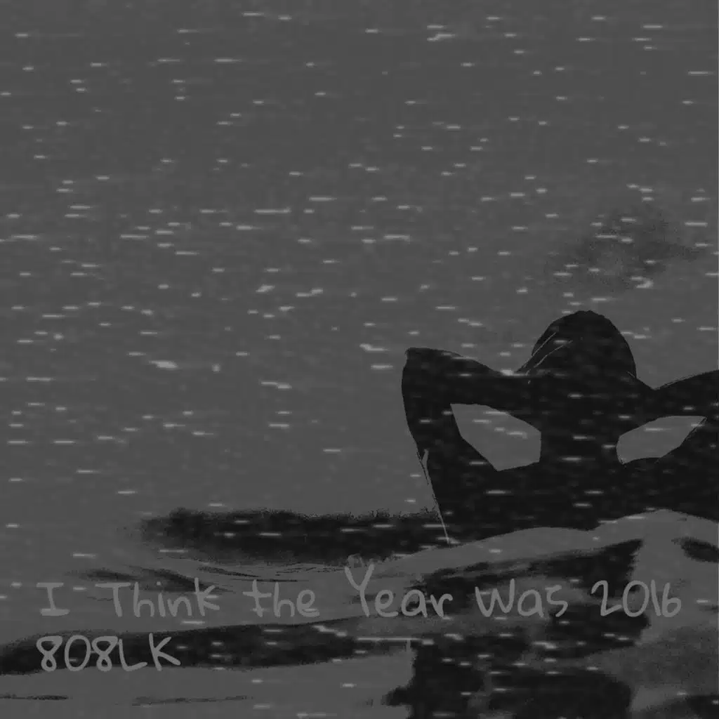 I Think the Year Was 2016