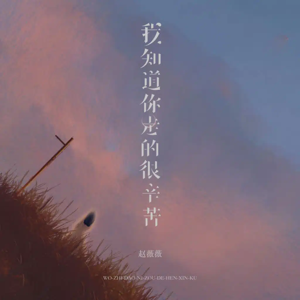 我知道你走的很辛苦