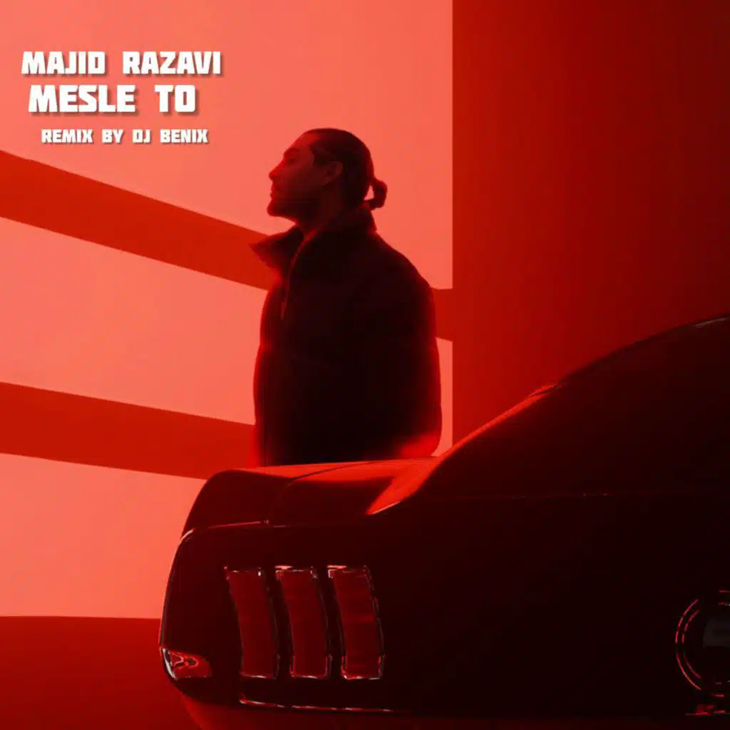 Mesle To (Remix)
