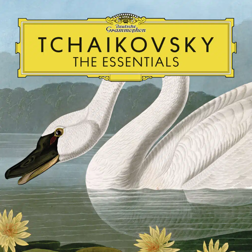 Tchaikovsky: Symphony No. 4 in F Minor, Op. 36: III. Scherzo. Pizzicato ostinato – Allegro
