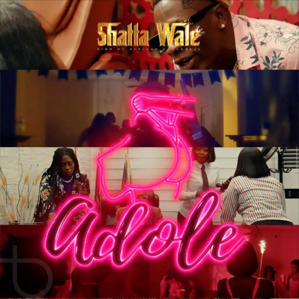 Adole (feat. SM Militants)