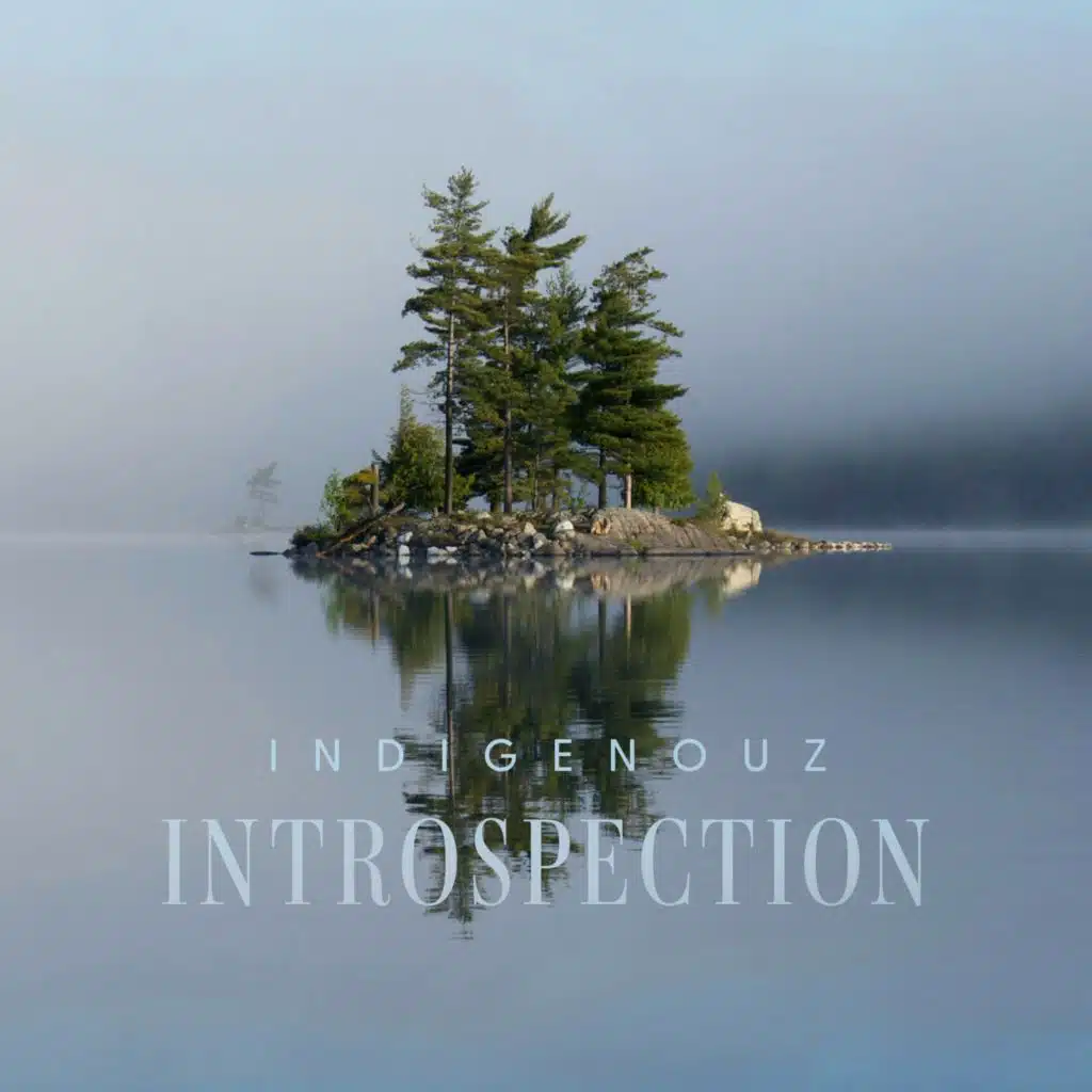 Introspection