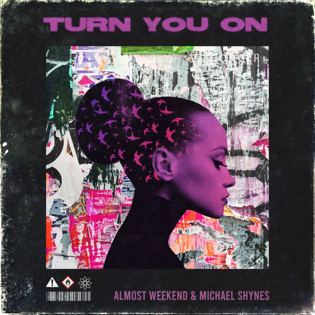 Turn You On (Instrumental Version)