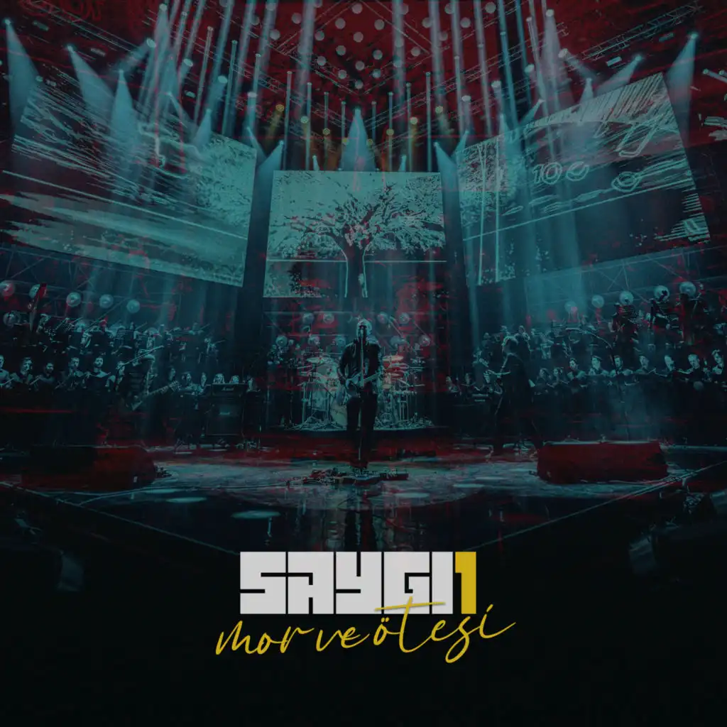 Kış Geliyor (Saygi1)