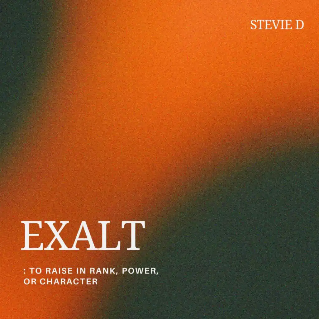 Stevie D